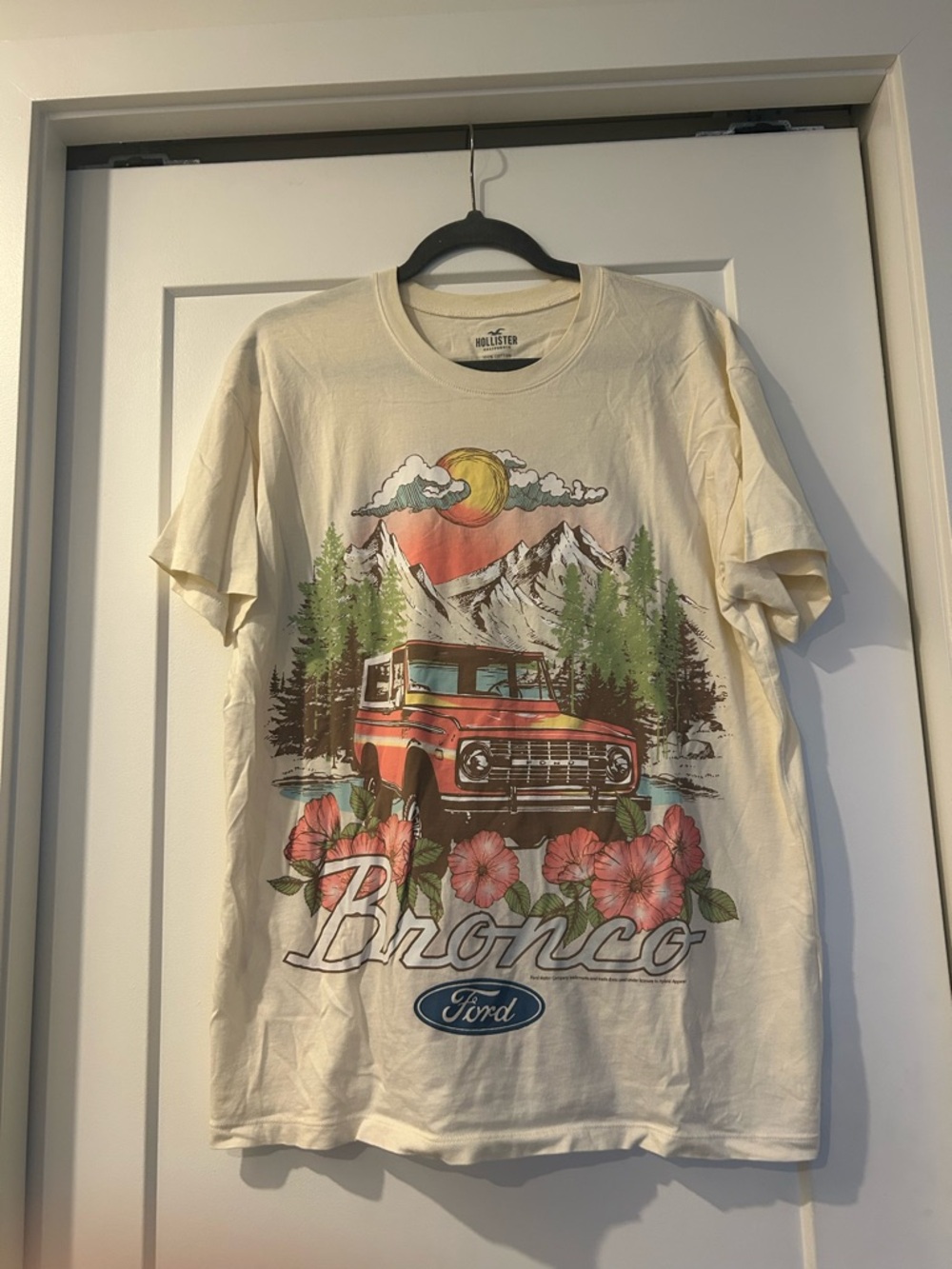 Hollister Bronco Graphic Oversized Boyfriend Tee